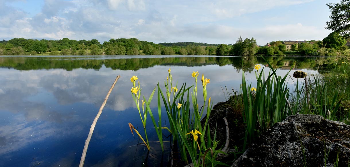 Environnement nature et préservé