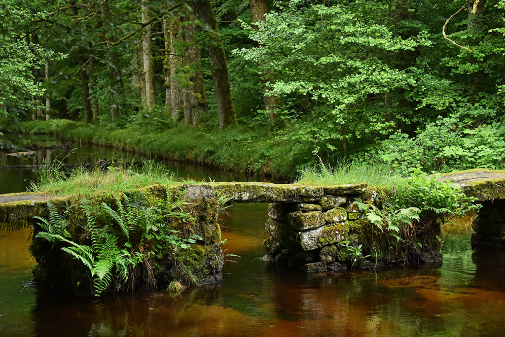 Cascade des Jarrauds