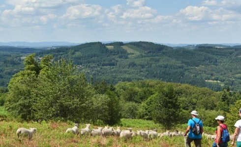 L'environnement et la biodiversité