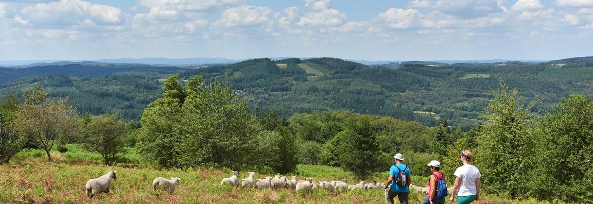 L’environnement et la biodiversité