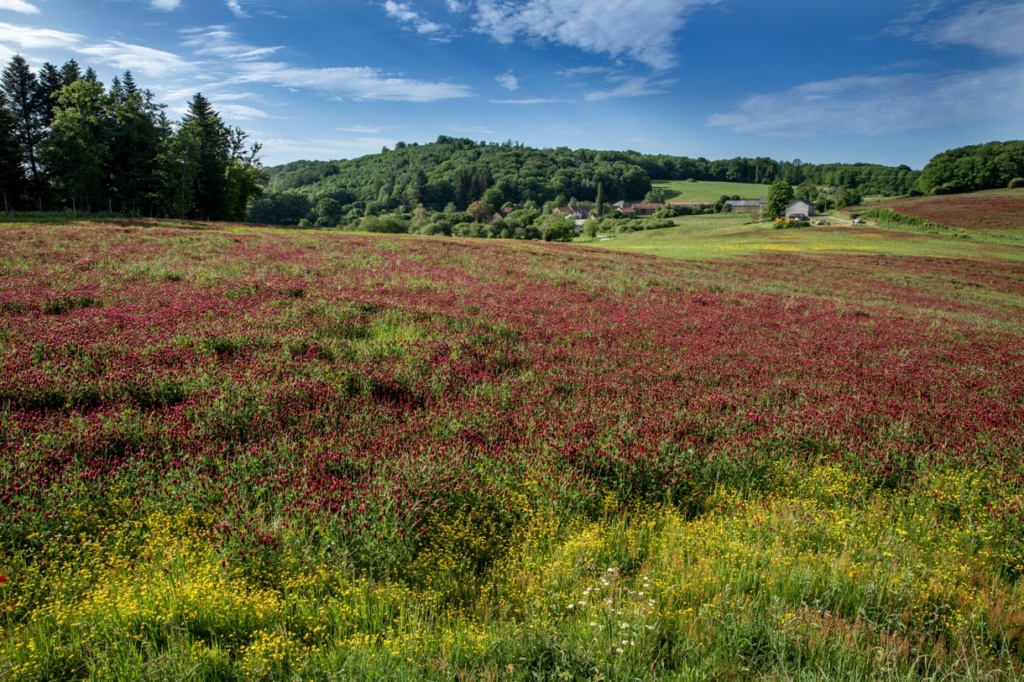 S'installer en Creuse Sud-Ouest