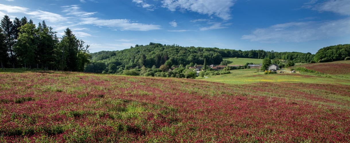 S’installer en Creuse Sud-Ouest