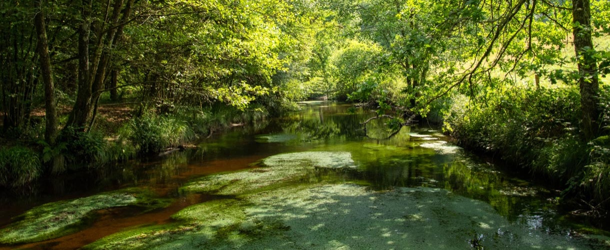 Préservez l’environnement