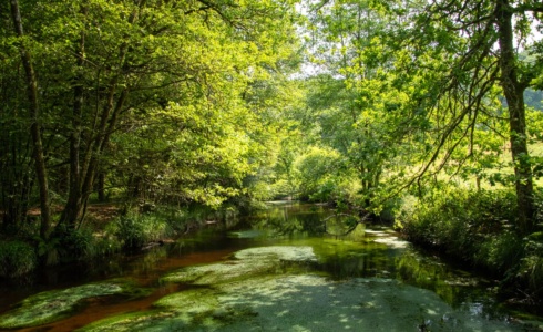 Préservez l'environnement