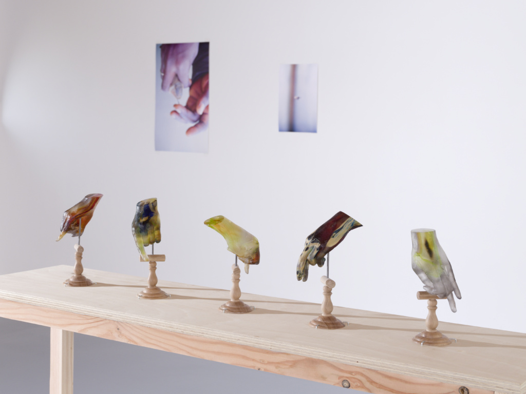 Langues empruntées, exposition CIAPV, 2026. Jade Tang, Mains d'oiseaux, 2026. Photo&nbsp;: © Aurélien Mole