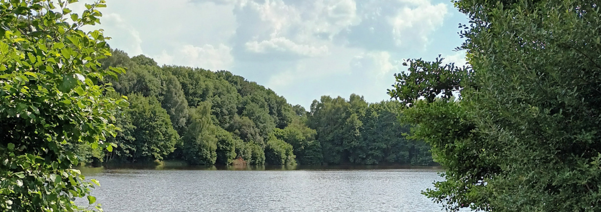 Gestion optimisée des plans d’eau de la Creuse&nbsp;: une consultation des propriétaires en préparation sur le territoire